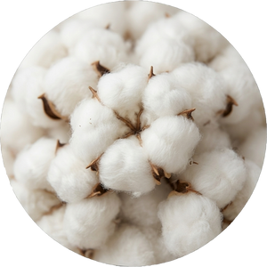 Close-up of raw premium cotton fibers illustrating the soft, breathable, and moisture-wicking material used in YG Socks.
